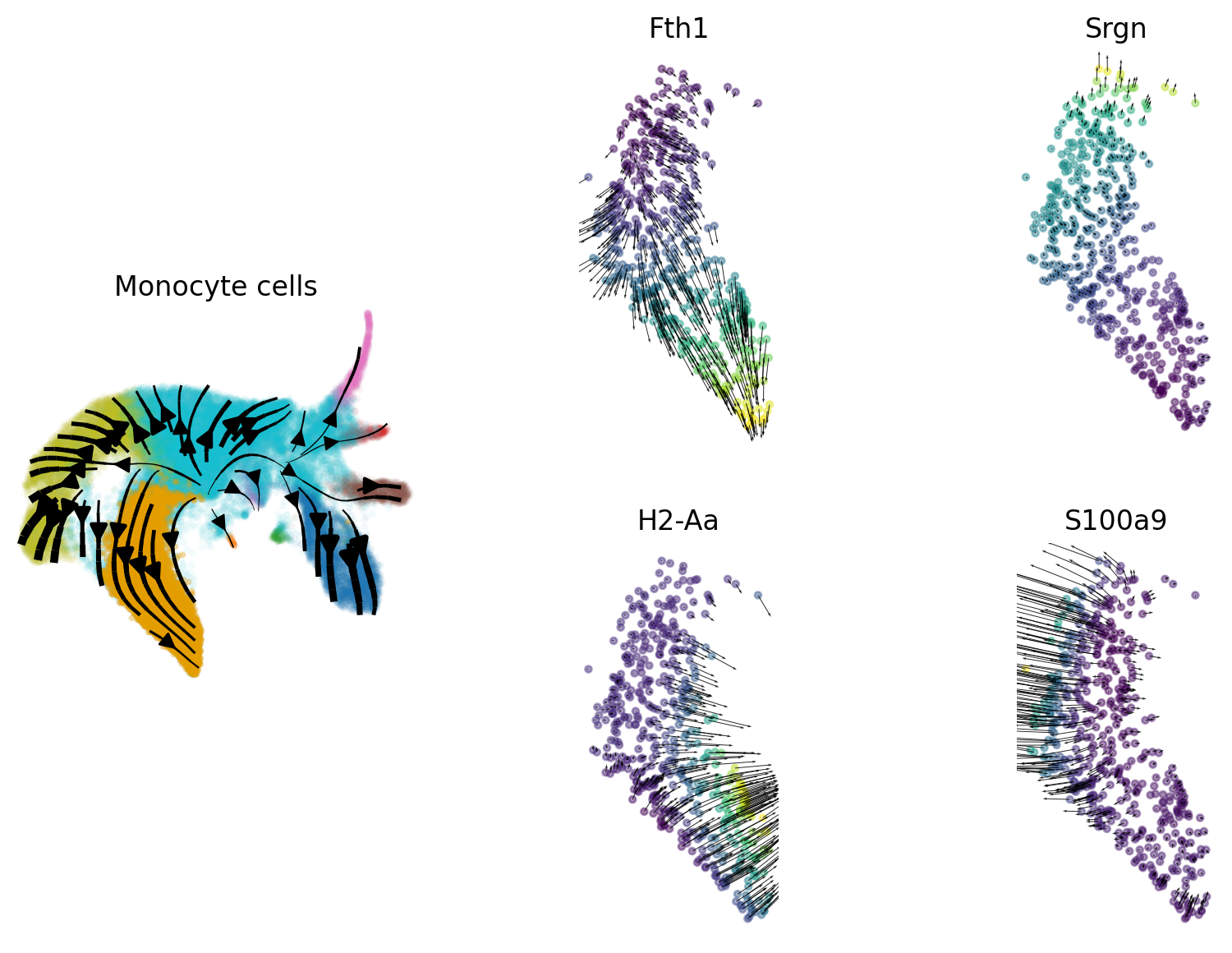 Gene-gradient quiver plots for selected Larry genes