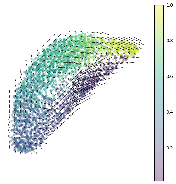 FlowMap grid velocity plot for cell-cycle data