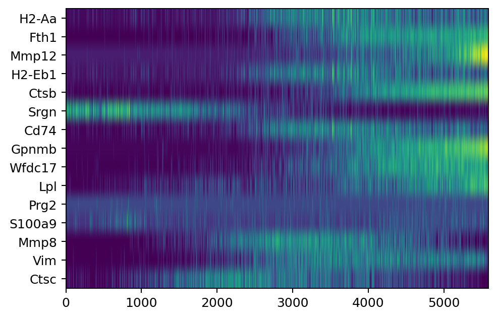 Path-ordered expression heatmap for top Larry gradient genes