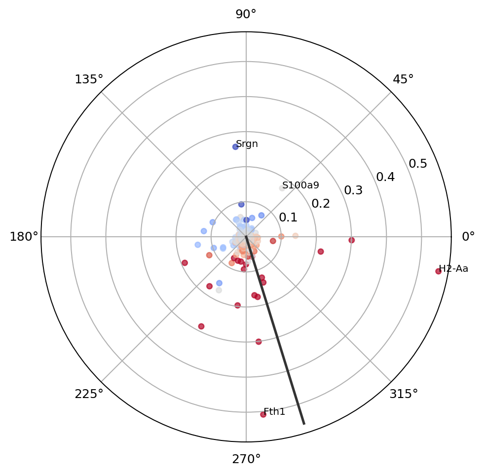 Radial plot of Larry path-local gene-gradient directions